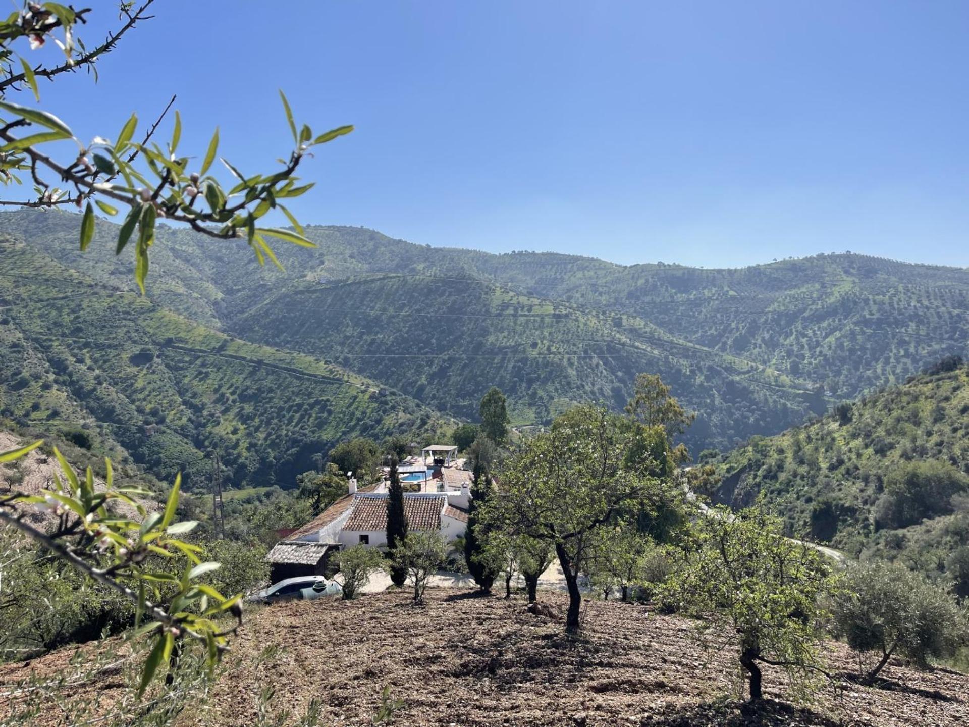 索尔蒙特住宿加早餐旅馆 埃尔乔罗 外观 照片